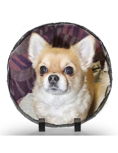 Pietra_Ardesia_Rotonda10cm