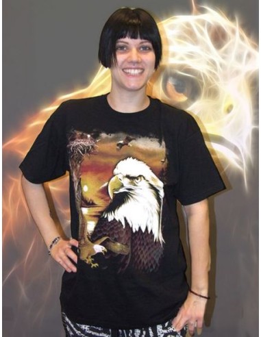 Aquila Nido Wild TS14