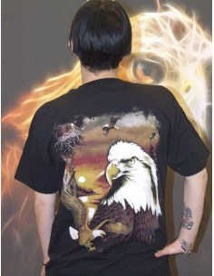 Aquila Nido Wild TS14 2