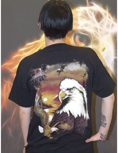 Aquila Nido Wild TS14