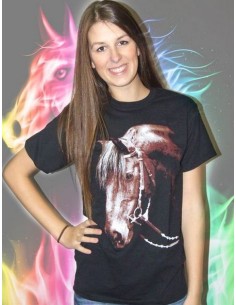 Testa Cavallo Wild TS28