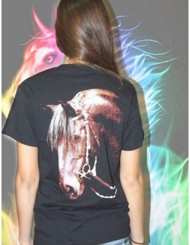 Testa Cavallo Wild TS28