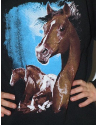 Cavallo Foresta Wild FG03