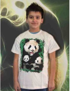 Panda Wild TS15